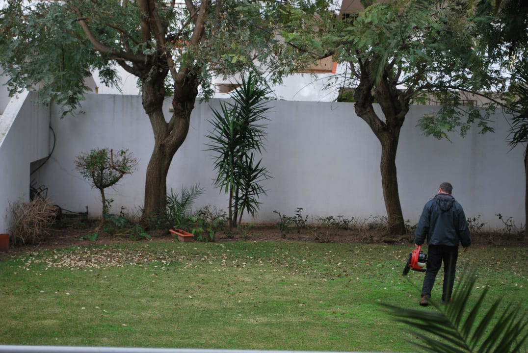 Terror um 9 Uhr  (2x wö.Laubbläser 15 Min) Hotel Almar