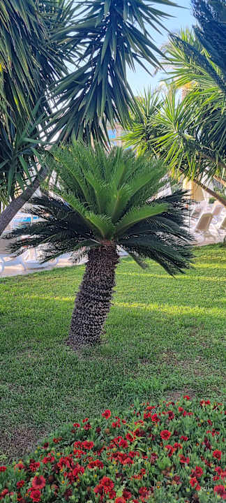 Außenansicht Sunis Kumköy Beach Resort Hotel & Spa