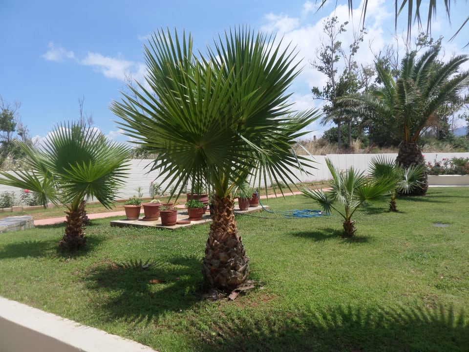 Schöner Garten HARPIN Georgioupolis Resort Aquapark & SPA