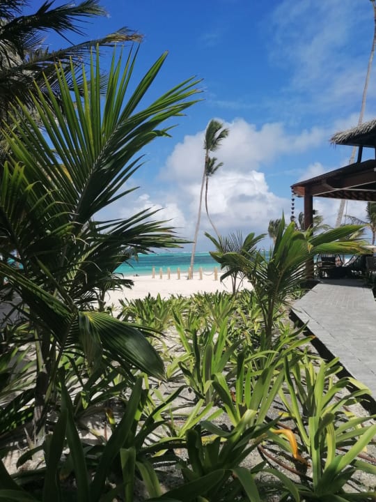 Strand Lopesan Costa Bávaro Resort, Spa & Casino