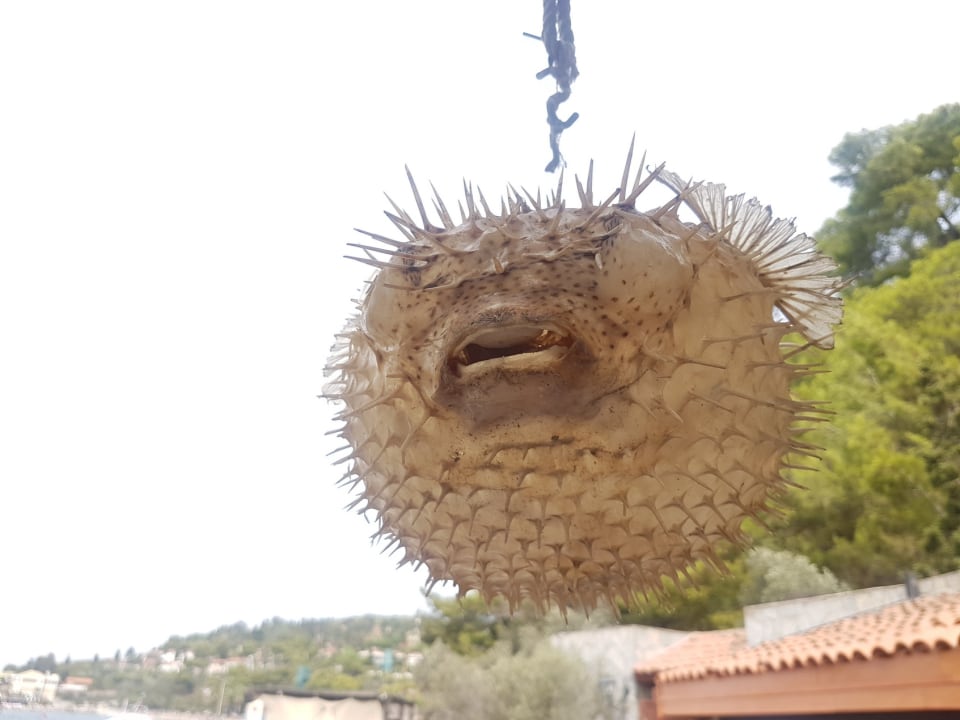 Strand Hotel Pine Bay Holiday Resort