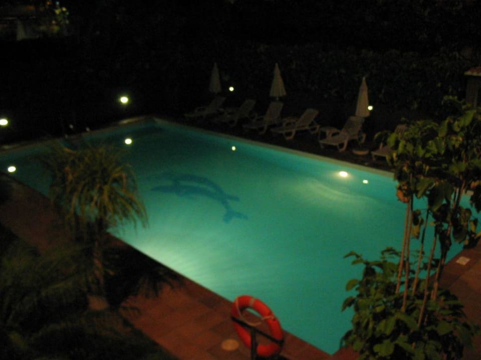 Pool Apartamentos Nogalera