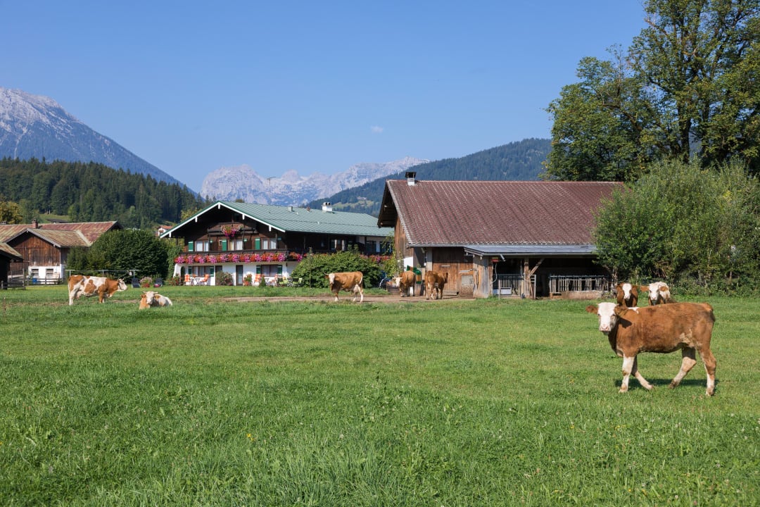 Außenansicht Ferienwohnungen Drachllehen