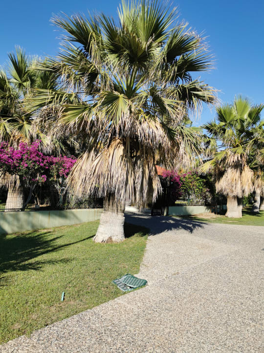 Gartenanlage VONRESORT Golden Beach