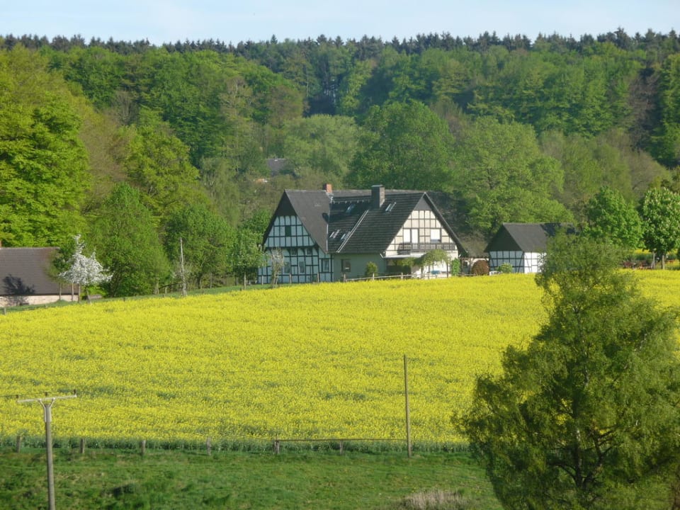 Ausblick vom Balkon Ringhotel Landhotel Buller