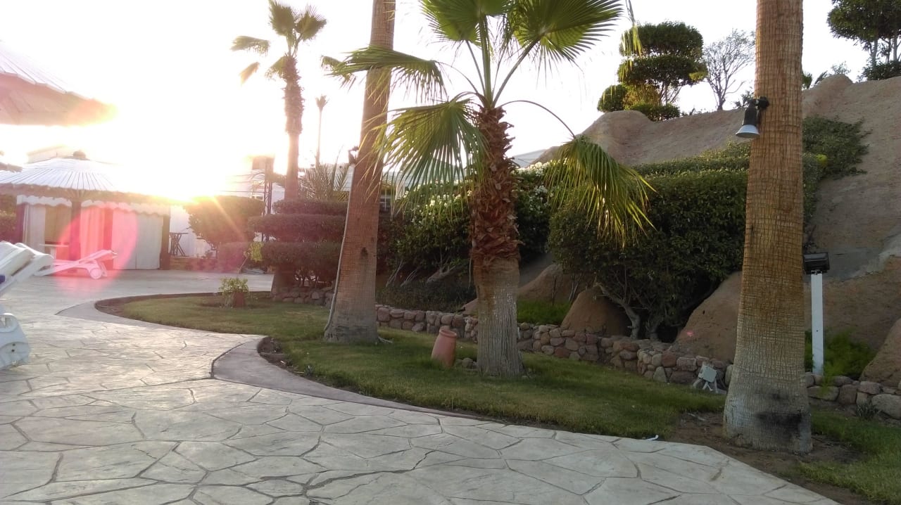 Przy basenie Hotel Noria Resort