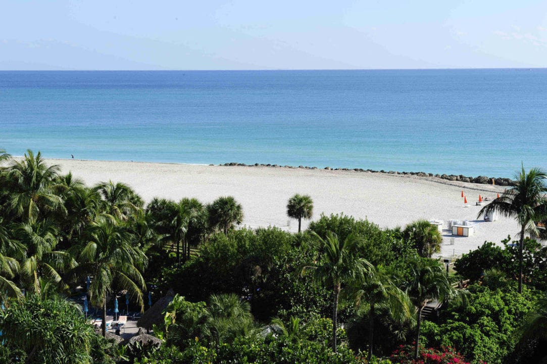 Blick von Zimmer auf das Meer The Palms Hotel & Spa