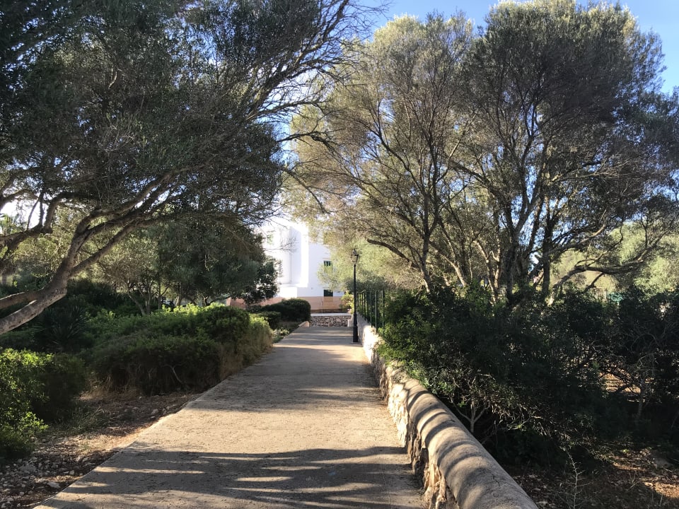 Gartenanlage Apartamentos Playa Ferrera