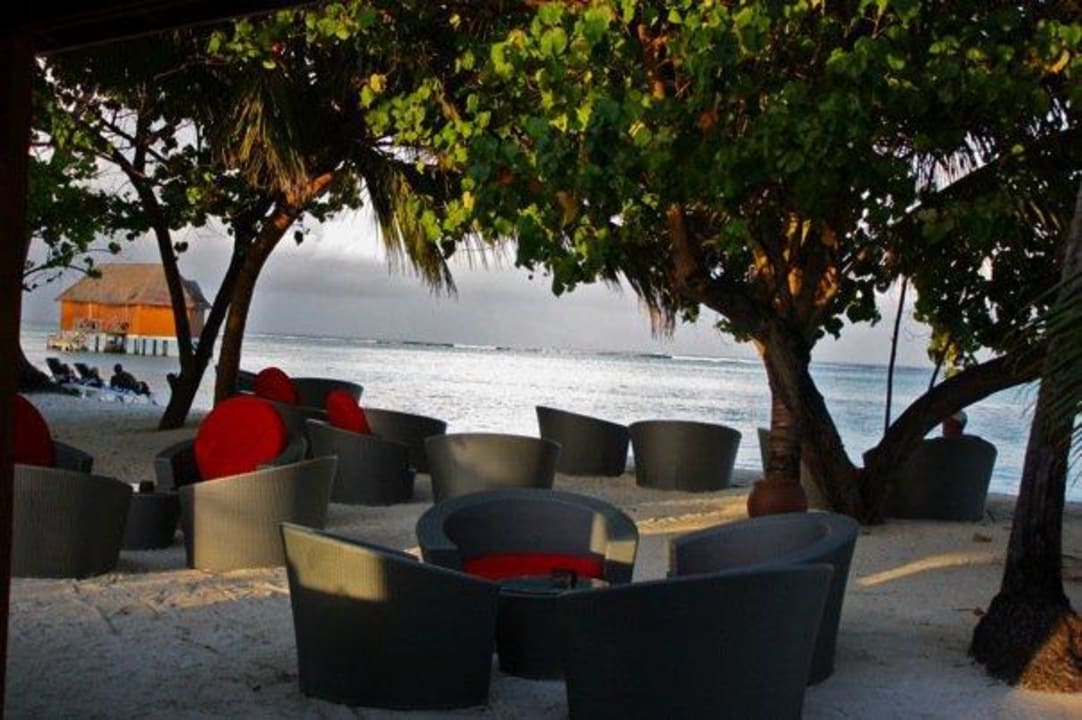 Bar Meeru Maldives Resort Island