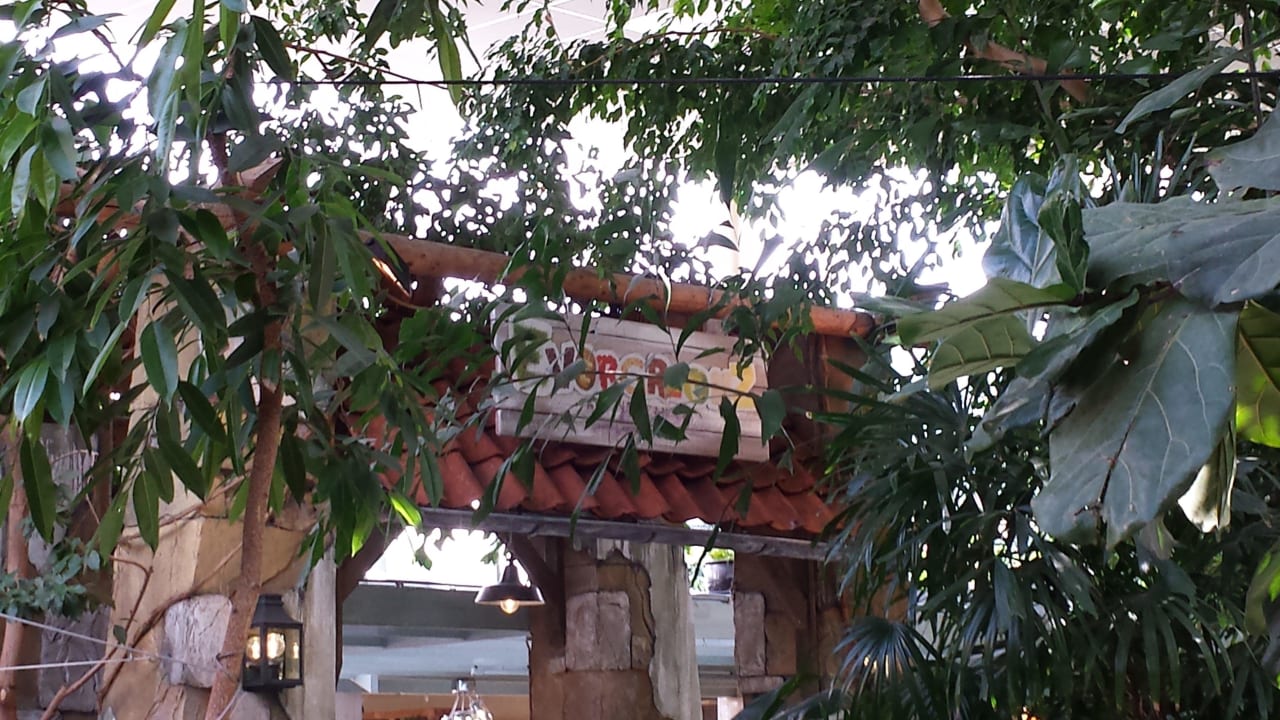 Evergreenz Center Parcs De Vossemeren