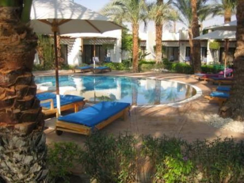 kleiner Pool JAZ Fayrouz