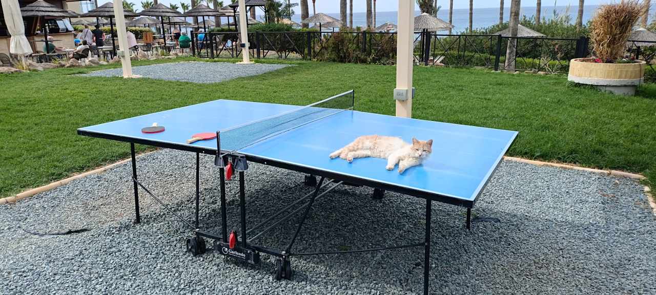 Sport & Freizeit Atlantica Golden Beach - Adults only