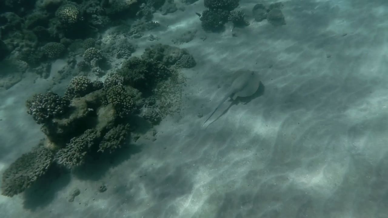 Sport & Freizeit Stella Beach Resort & Spa Makadi Bay