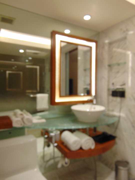 Zimmer Hotel Hyatt Regency Delhi