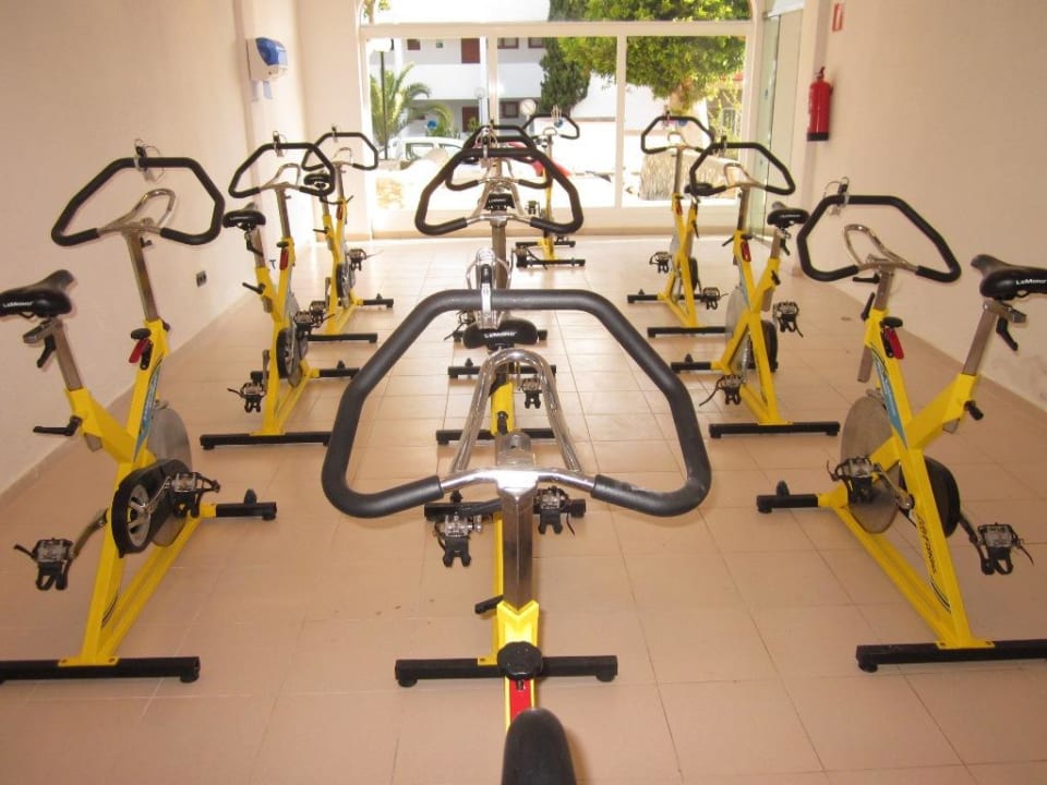 Spinning blau punta reina