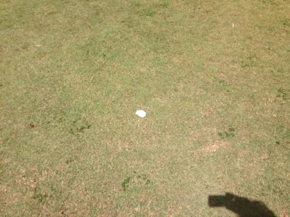 Müllhalde Wyndham Alltra Samana