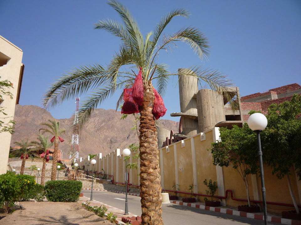 Droga z plaży La Playa Beach Resort Taba