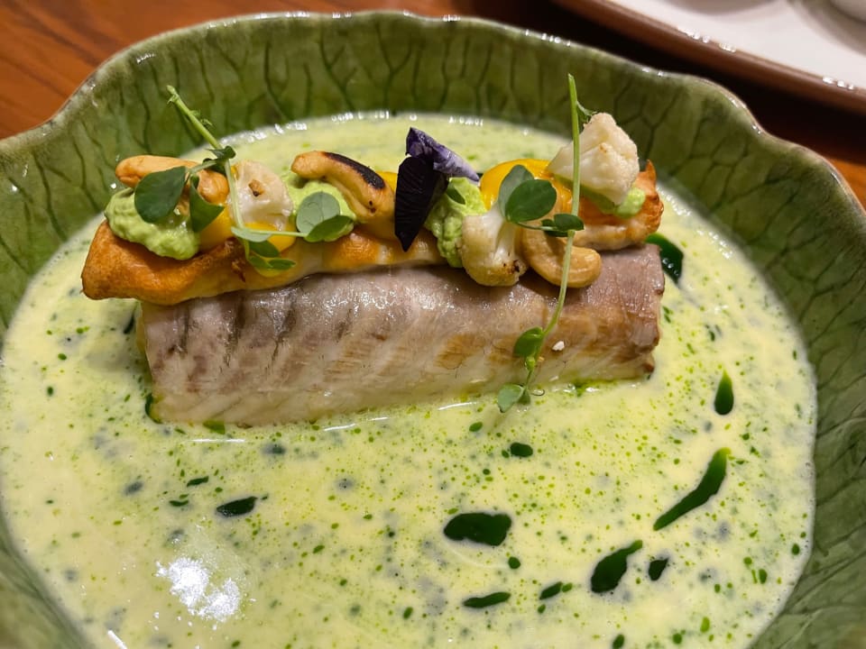 Gastro Acanthus Cennet Barut Collection