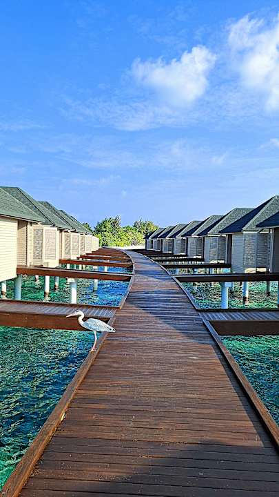 Außenansicht Summer Island Maldives