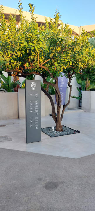 Gartenanlage Nefeli Hotel Rethymno