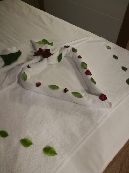 Zimmer TUI MAGIC LIFE Jacaranda