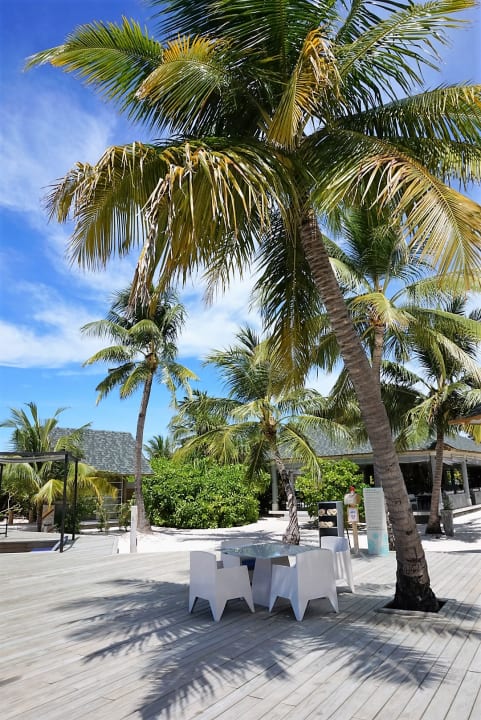 Restaurant NH Collection Maldives Havodda Resort