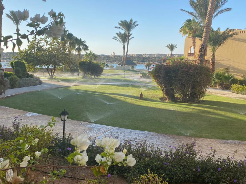 Ausblick Steigenberger Coraya Beach - Adults only