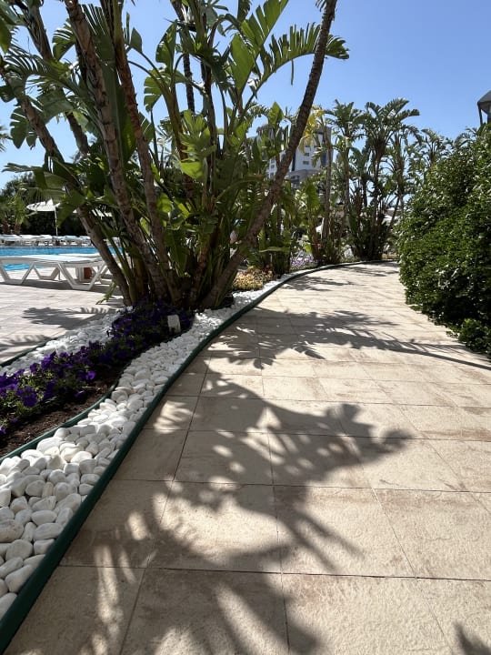 Gartenanlage Saturn Palace Resort Hotel