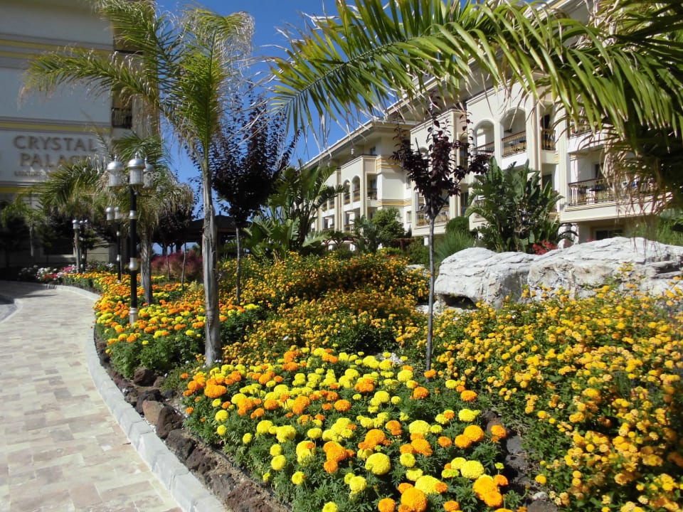 Bepflanzung neben Haupteingang Diamond Excellence Resort & Spa
