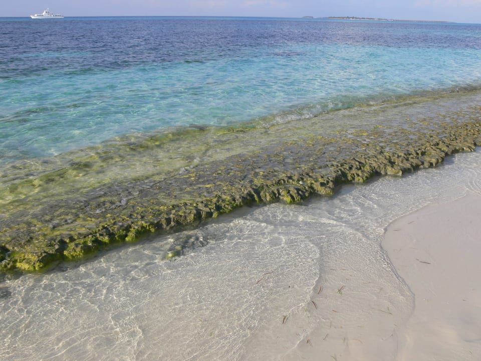 Koamas 100er Villen Kuredu Island Resort & Spa