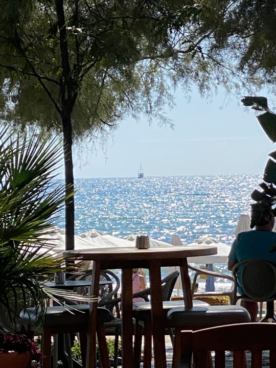 Gastro Arum Barut Collection