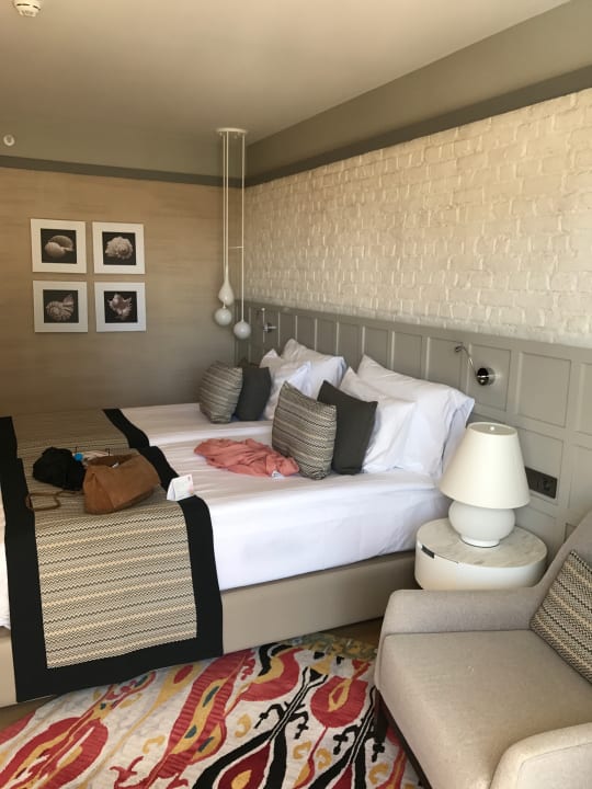 Zimmer Acanthus Cennet Barut Collection
