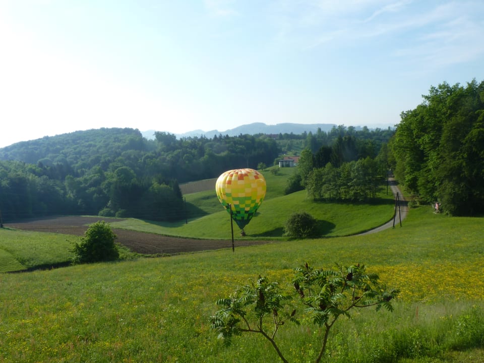 Ausblick Ferienwohnungen Ofenmacherhof