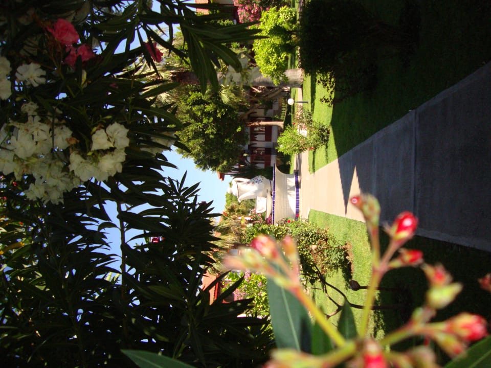 Brunnenlandschaft Ali Bey Club