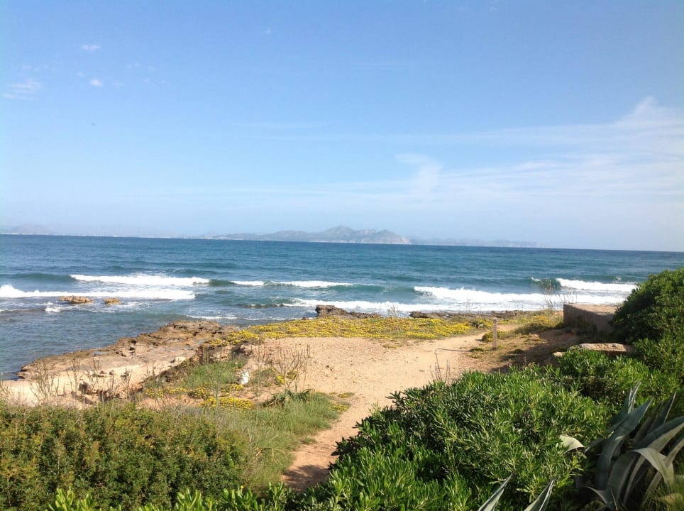 Blick vom Pool auf den Strand Es Blau des Nord