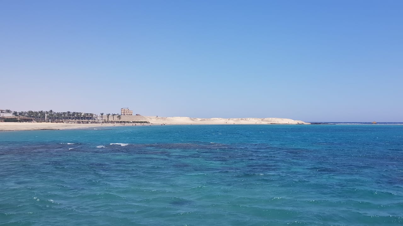 Das Hausriff direkt vor d... Iberotel Costa Mares (Marsa Alam) •  HolidayCheck (Marsa AlamEl Quseir | Ägypten)