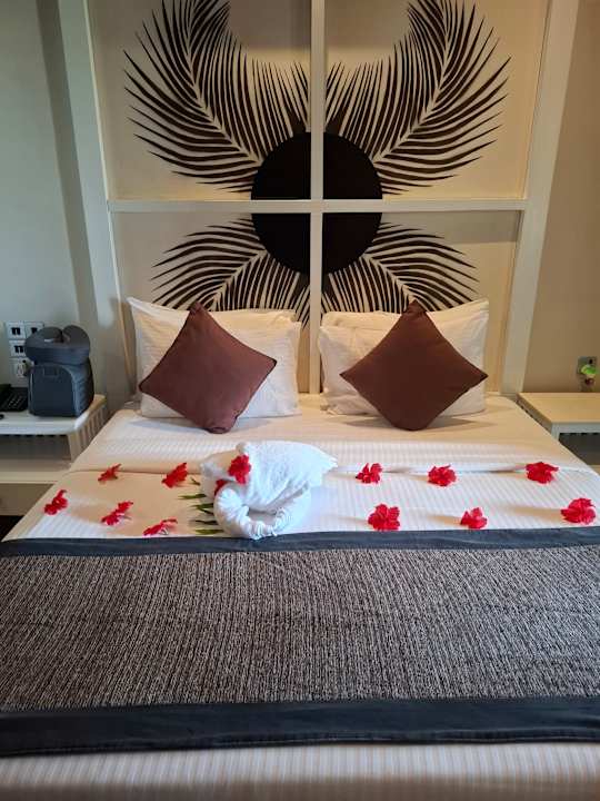 Zimmer Earl’s Reef Beruwala