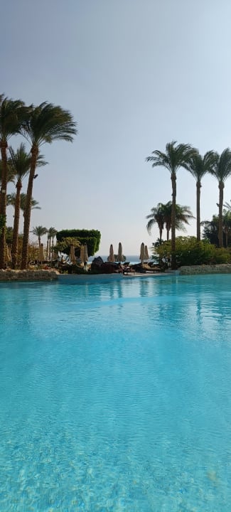 Pool Makadi Spa - Adults only