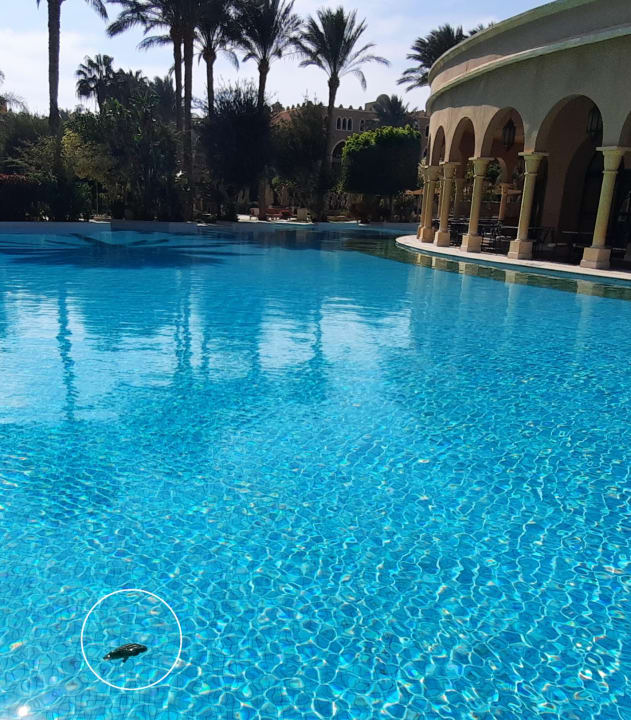 Pool Makadi Palace