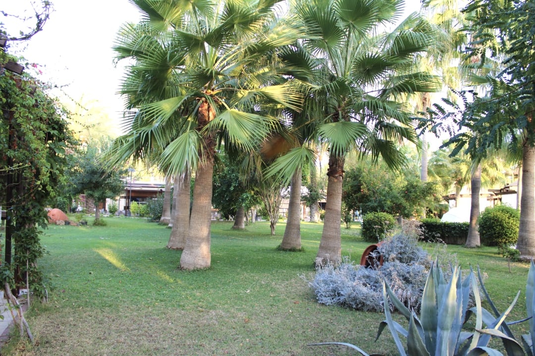Gartenanlage Saphir Resort & Spa
