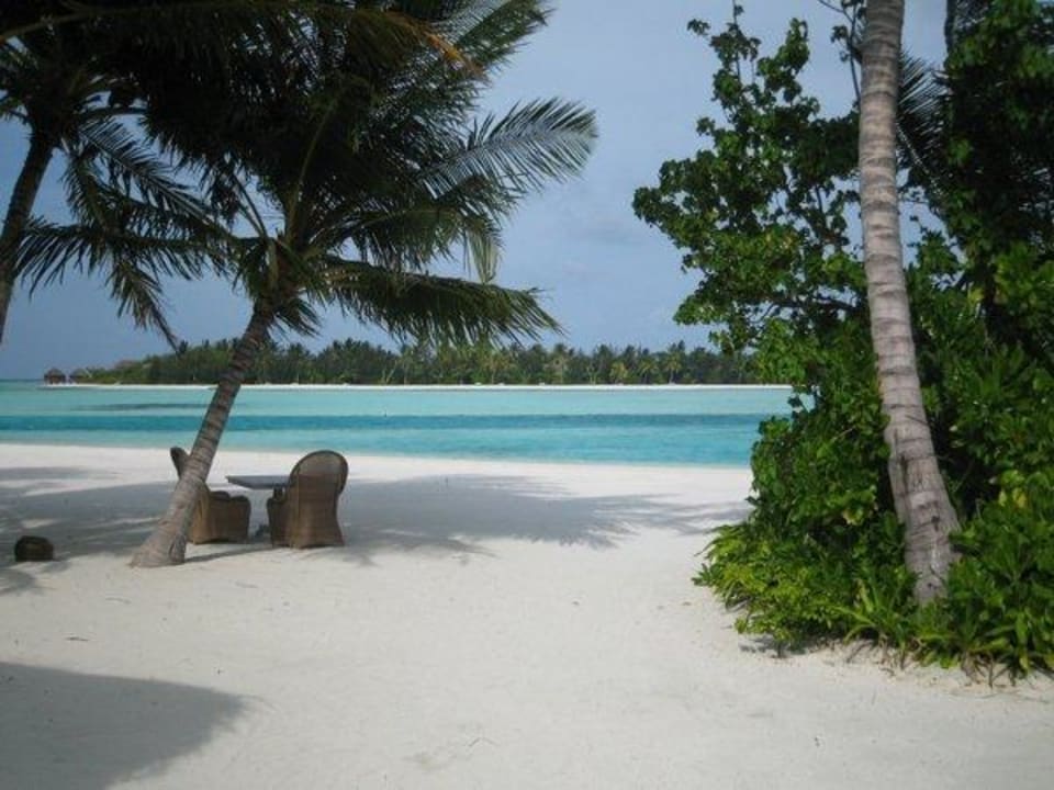 Ausblick vom Frühstück auf Meer Naladhu Private Island Maldives