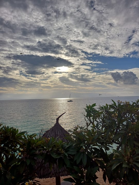 Ausblick Hotel Riu Palace Zanzibar