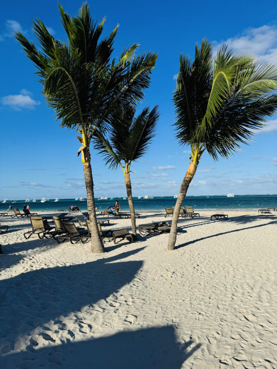 Strand Lopesan Costa Bávaro Resort, Spa & Casino