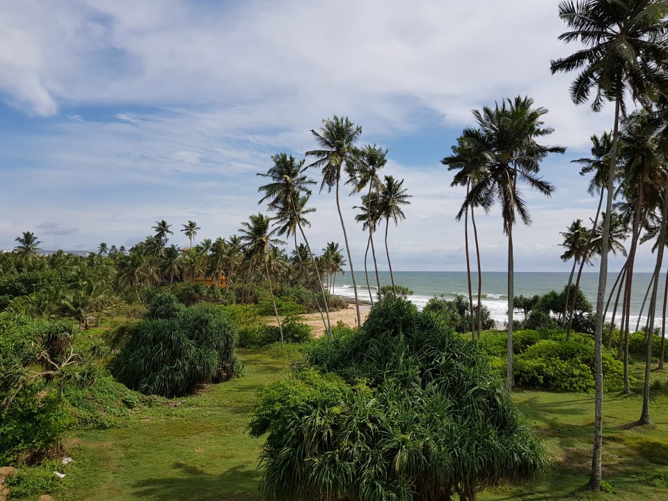 Ausblick The Habitat Kosgoda by Asia Leisure