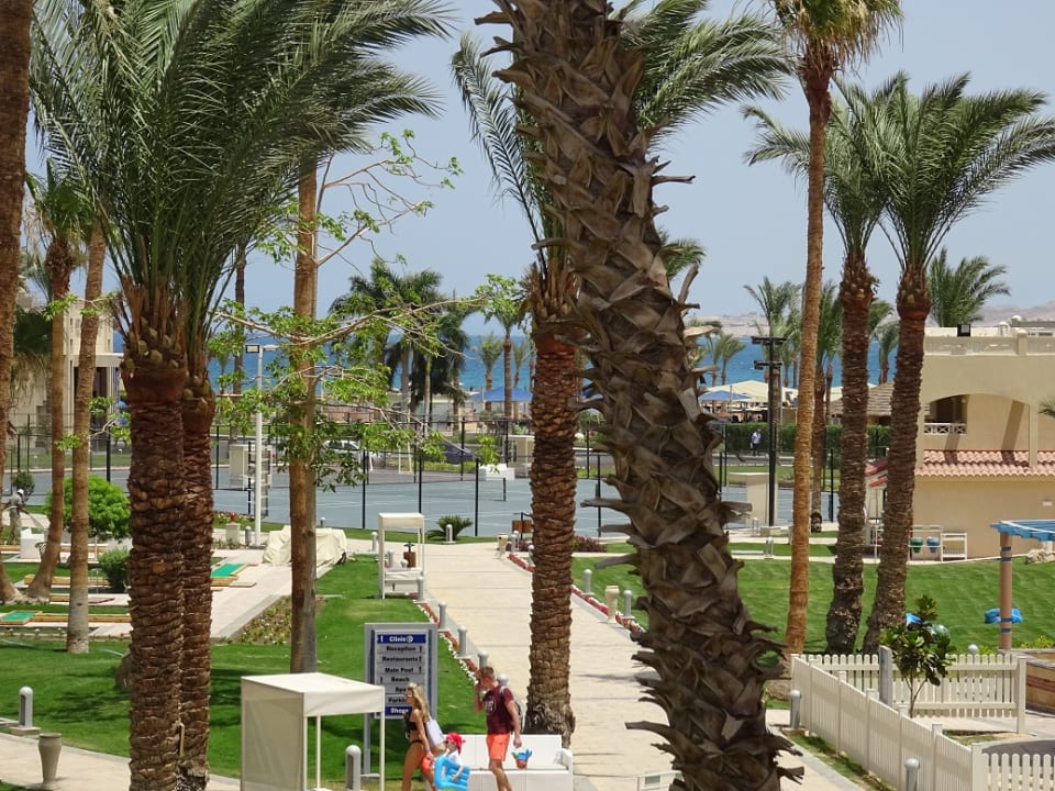 Gartenanlage Beach Albatros Resort