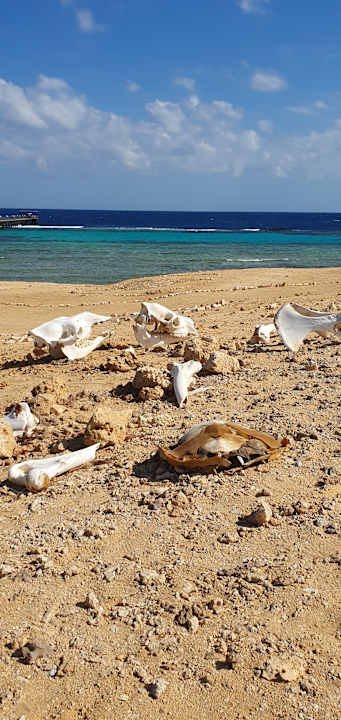 Strand Wadi Lahmy Azur Resort