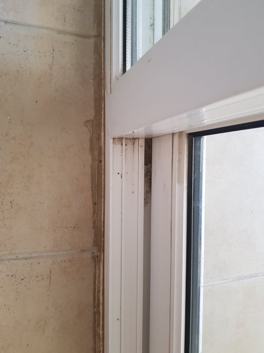 Zimmer Hotel Catty Cats Garden