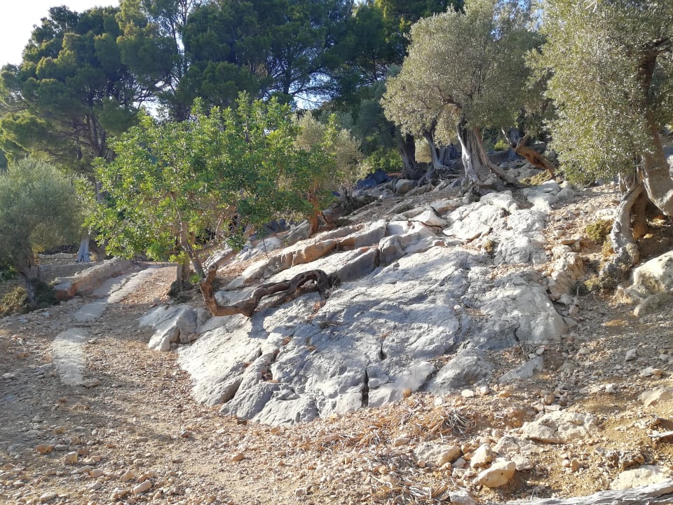 Gartenanlage Finca Hotel & Spa Monnaber Nou