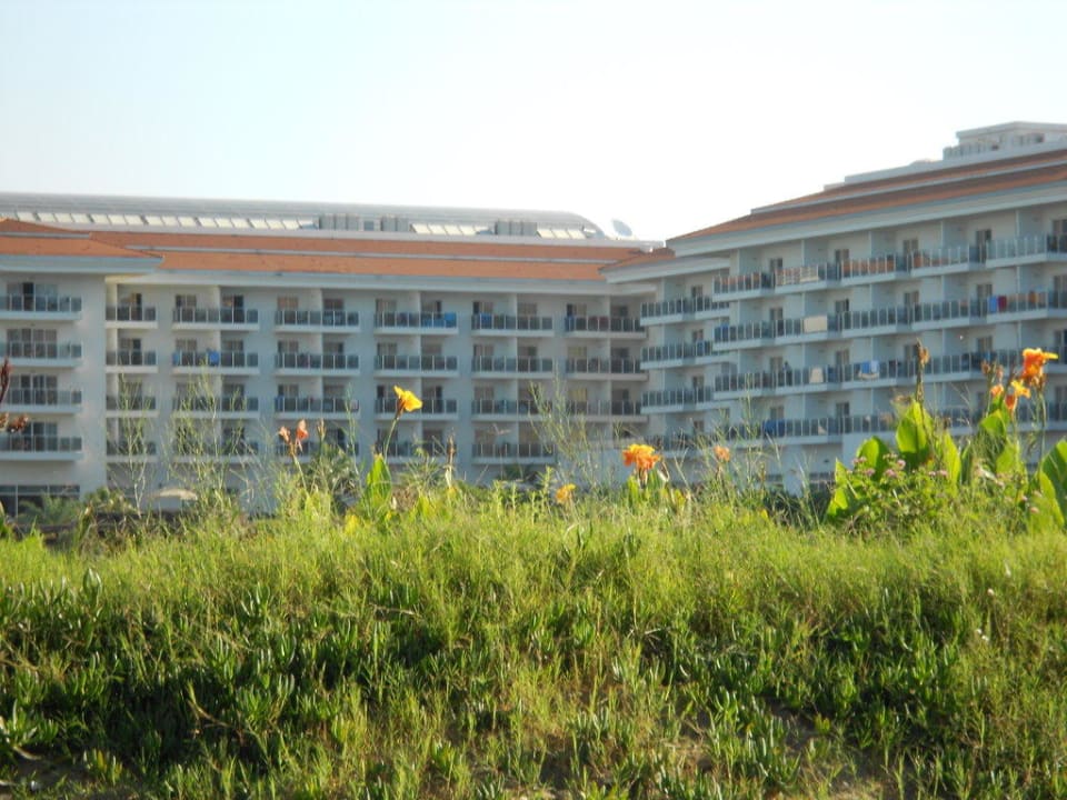 Hotel vanaf het strand Seaden Sea World Resort & Spa