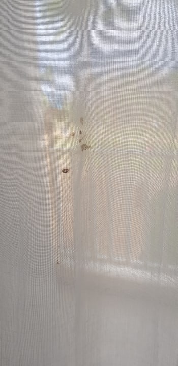 Zimmer Sirenis Tropical Varadero